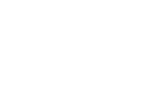 Try the game!